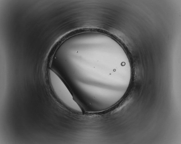 X0000093160926200710101151