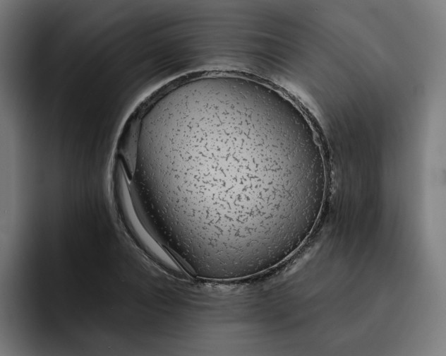 X0000093160928200710101151