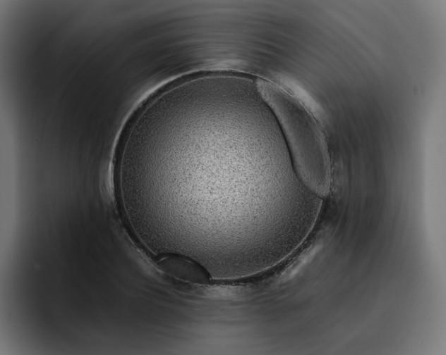 X0000093160932200710101151