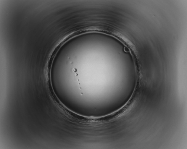 X0000093160933200710101151