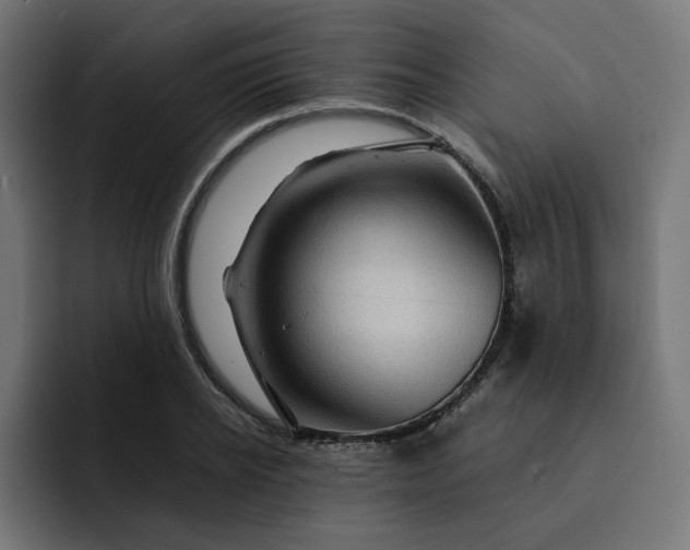 X0000093160934200710101151