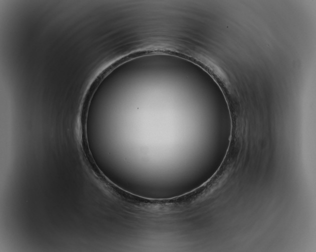 X0000093160936200710101151