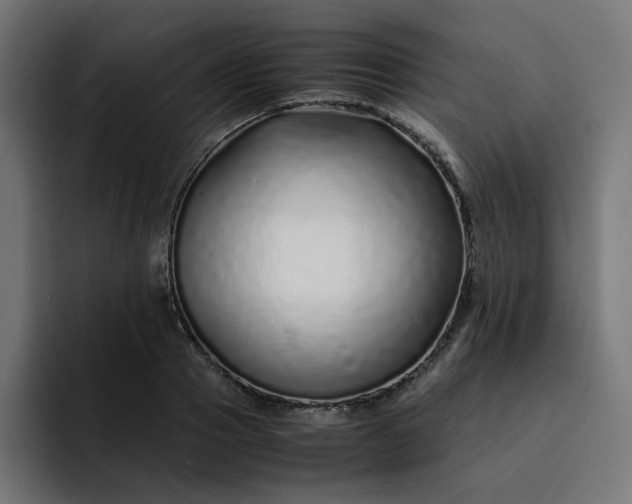 X0000093160937200710101151