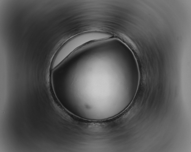 X0000093160938200710101151