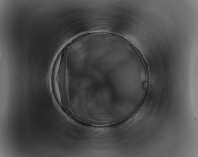 X0000093160941200710101151