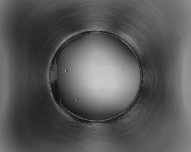 X0000093160942200710101151