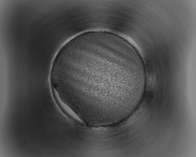 X0000093160943200710101151