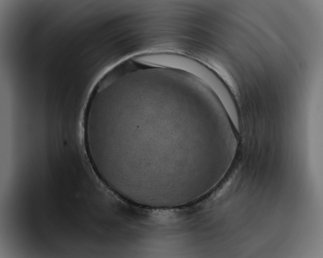 X0000093160944200710101151