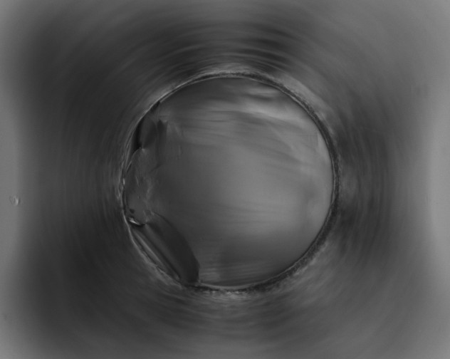 X0000093160945200710101151