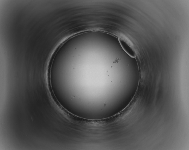 X0000093160947200710101151