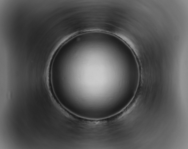 X0000093160949200710101151