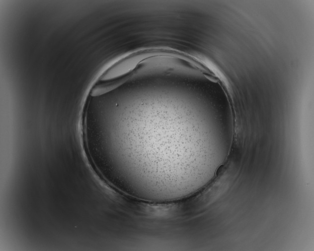 X0000093160951200710101151