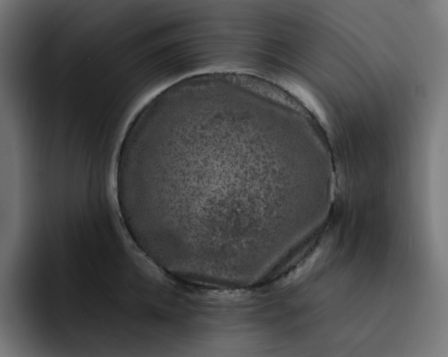 X0000093160952200710101151