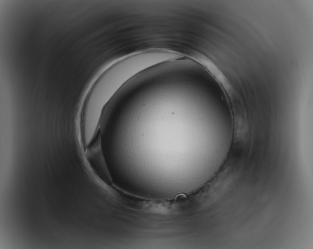 X0000093160955200710101151