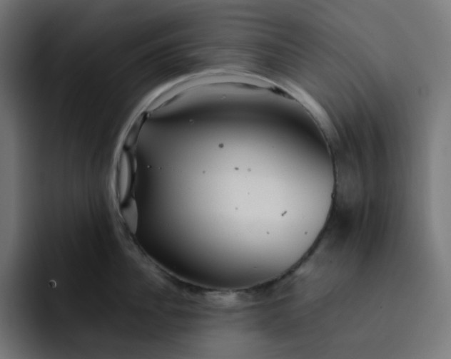 X0000093160956200710101151