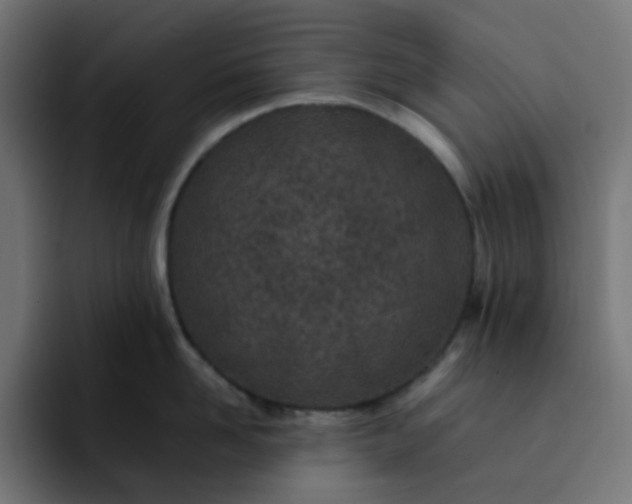 X0000093160958200710101151