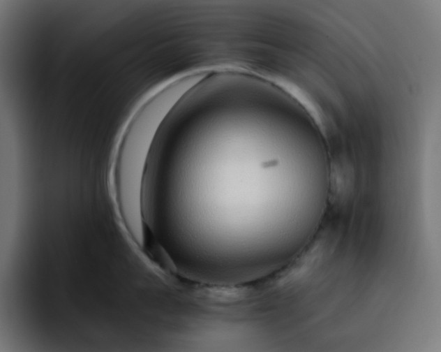 X0000093160959200710101151