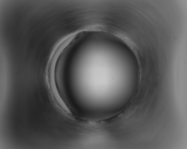 X0000093160960200710101152