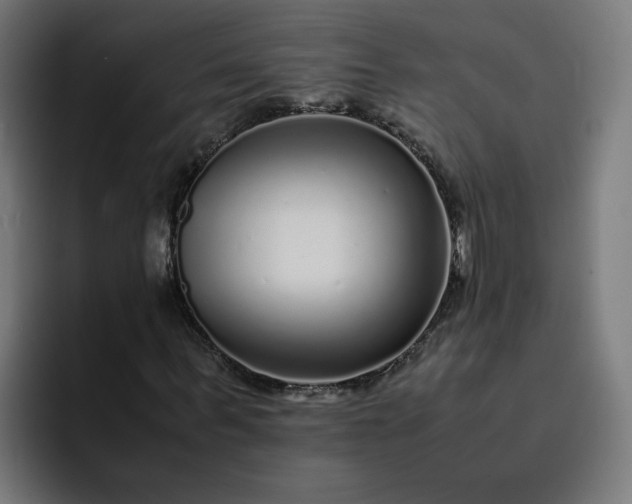 X0000093160963200710101151