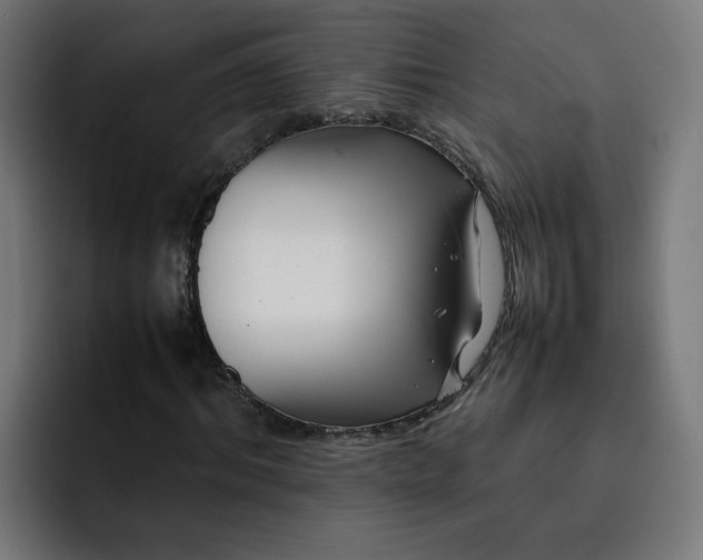 X0000093160964200710101151