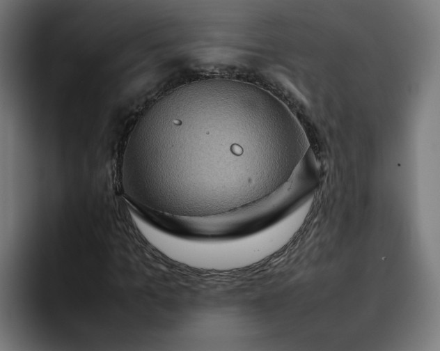 X0000093160965200710101151