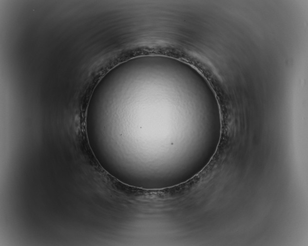 X0000093160966200710101151
