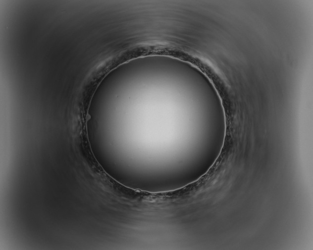 X0000093160967200710101151