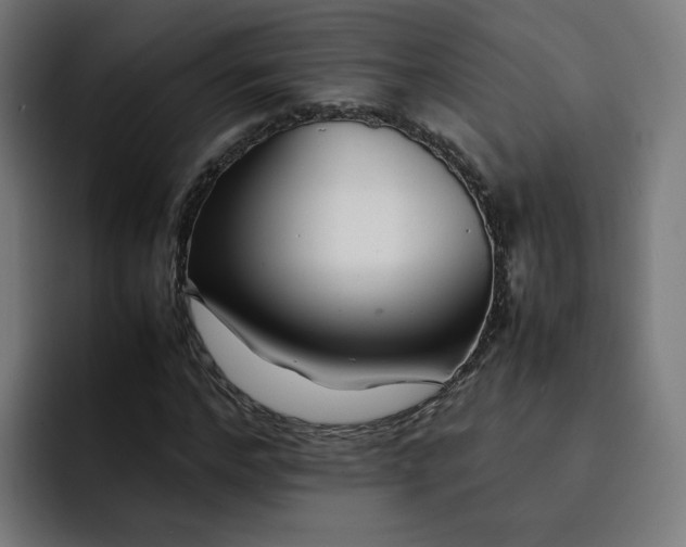 X0000093160968200710101151