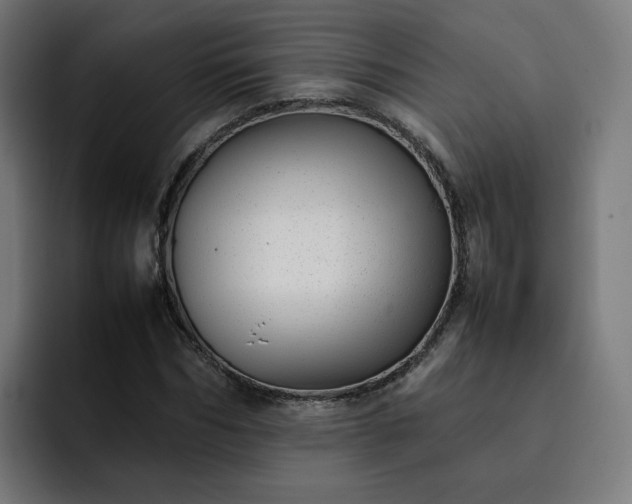 X0000093160970200710101151