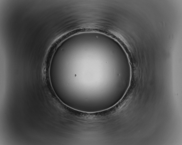 X0000093160971200710101151