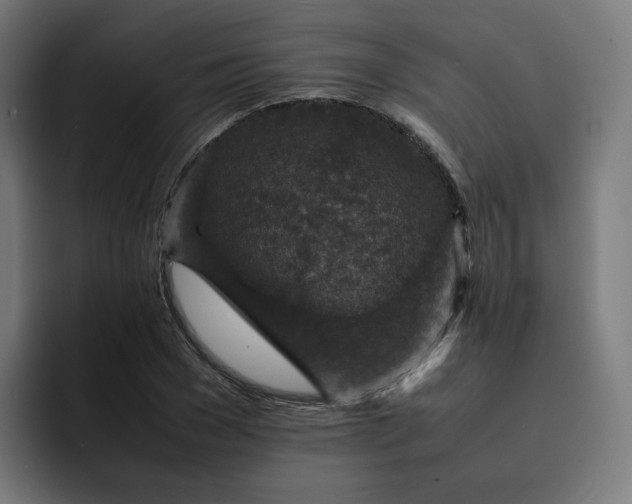 X0000093160977200710101151