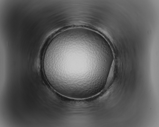 X0000093160979200710101151