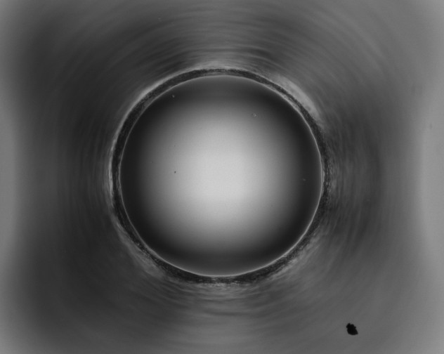 X0000093160980200710101151