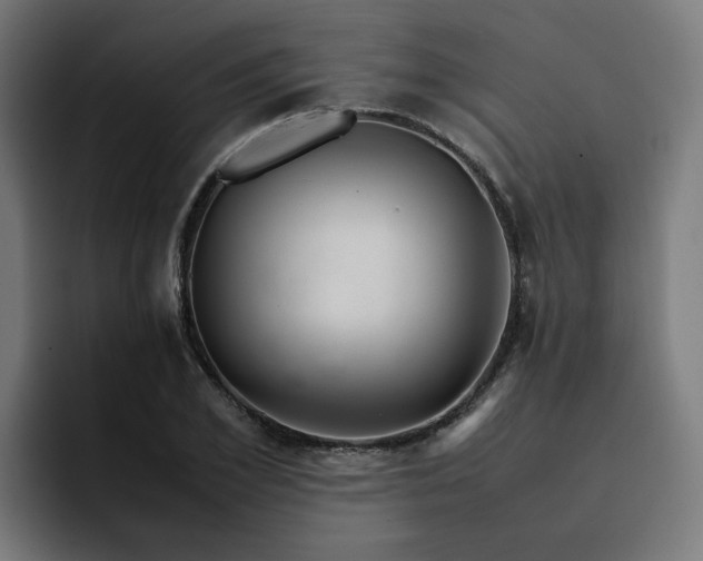X0000093160981200710101151