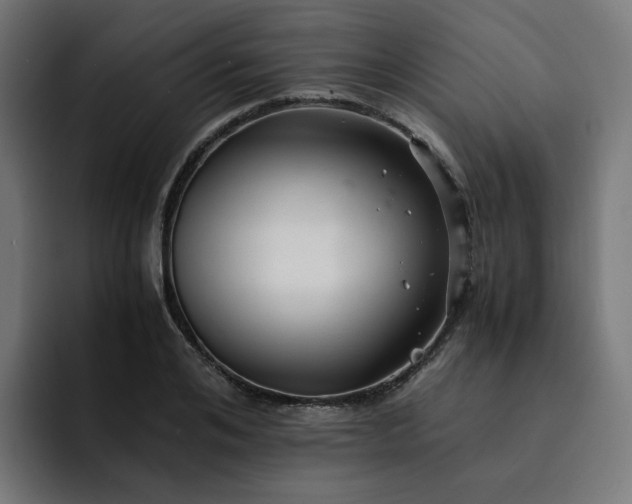 X0000093160984200710101151