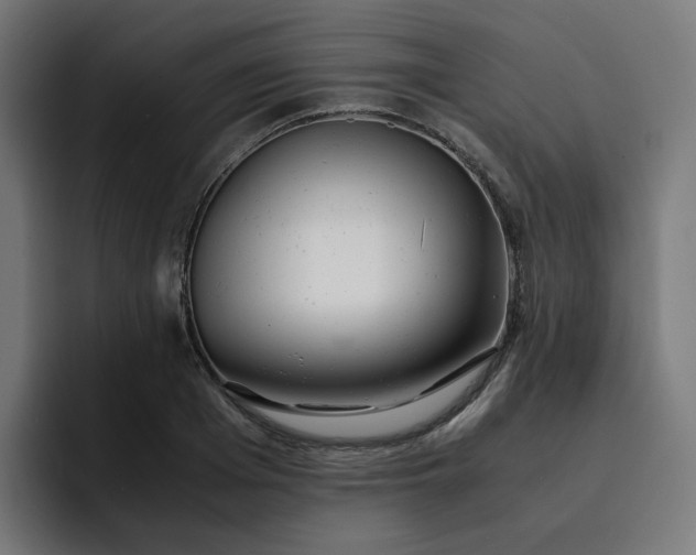 X0000093160985200710101151
