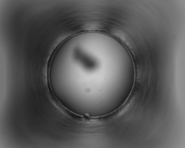 X0000093160986200710101151