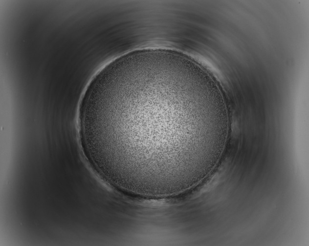 X0000093160990200710101151