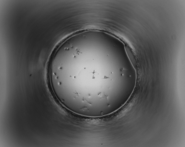 X0000093160991200710101151