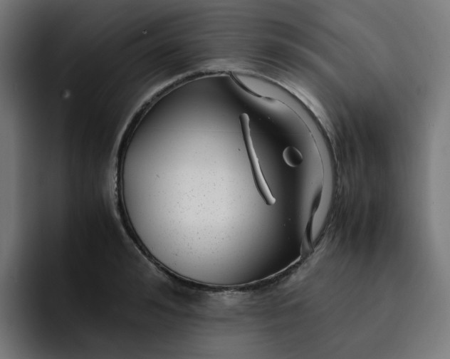 X0000093160992200710101151