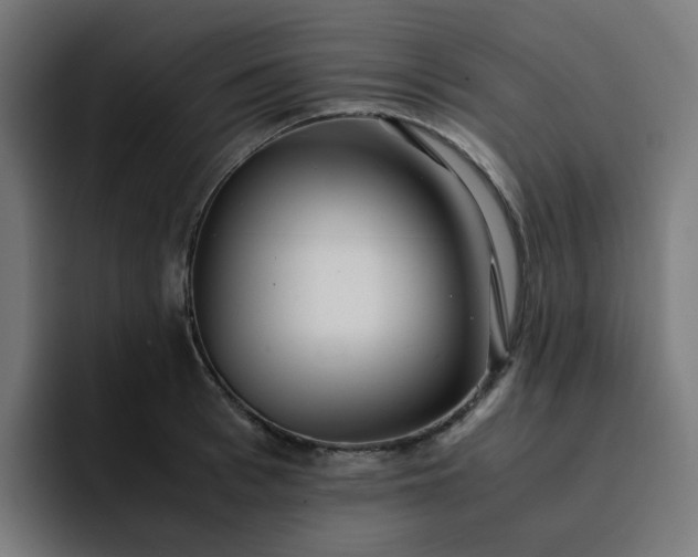 X0000093160993200710101151