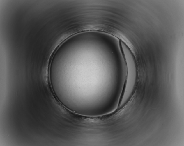 X0000093160994200710101151