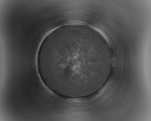 X0000093160995200710101151
