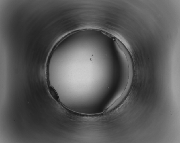 X0000093160996200710101151