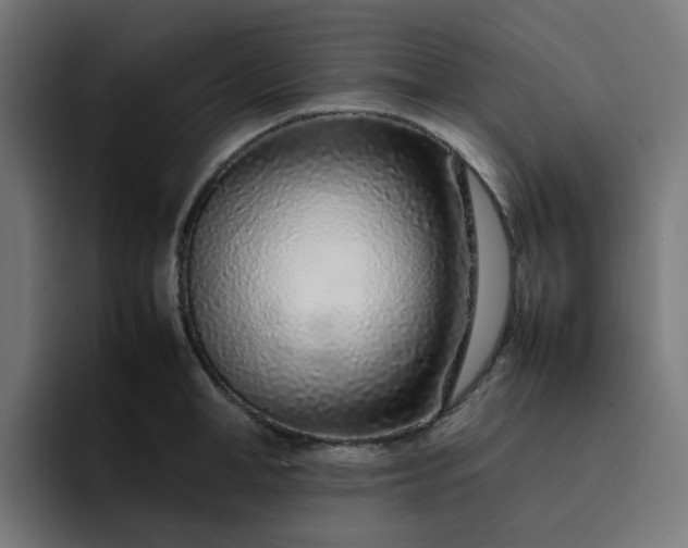 X0000093160998200710101151