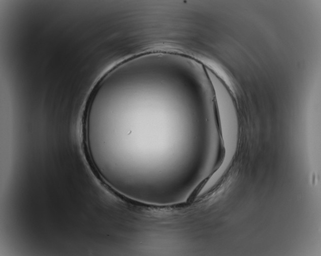 X0000093160999200710101150