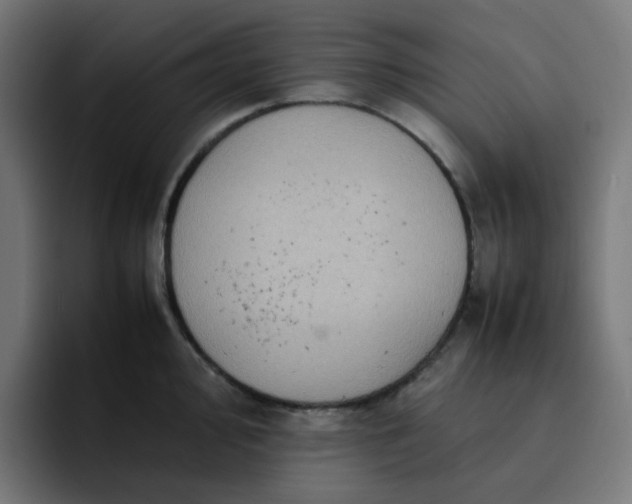 X0000093161000200710101150