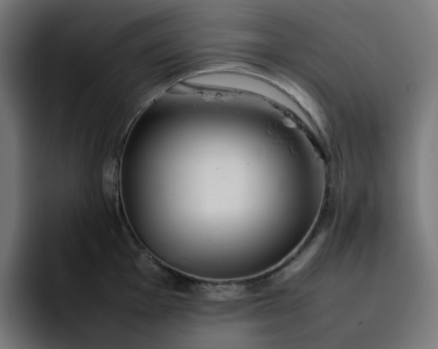 X0000093161001200710101150