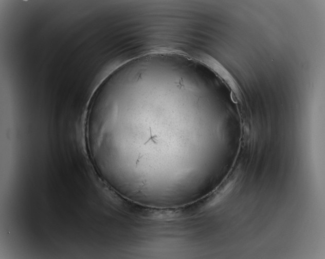 X0000093161002200710101150