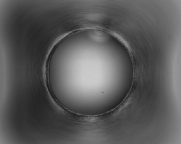 X0000093161003200710101150